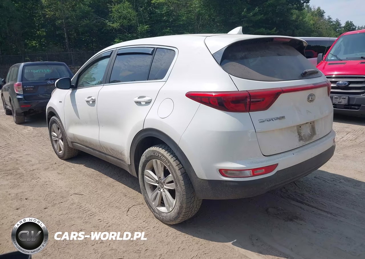 2017 Kia Sportage Lx VIN:KNDPMCAC1H7291236 - 3