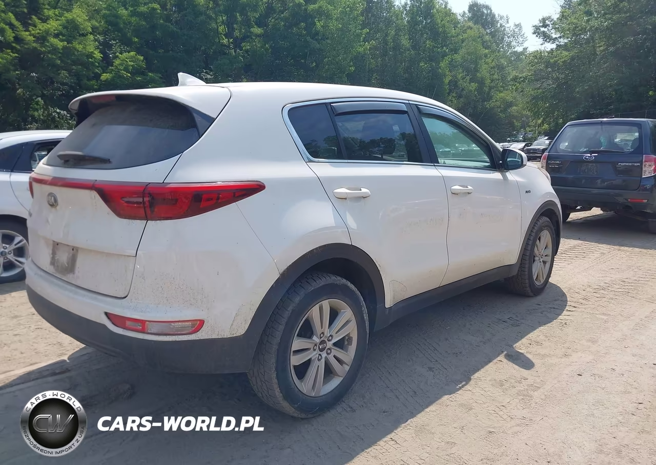 2017 Kia Sportage Lx VIN:KNDPMCAC1H7291236 - 4