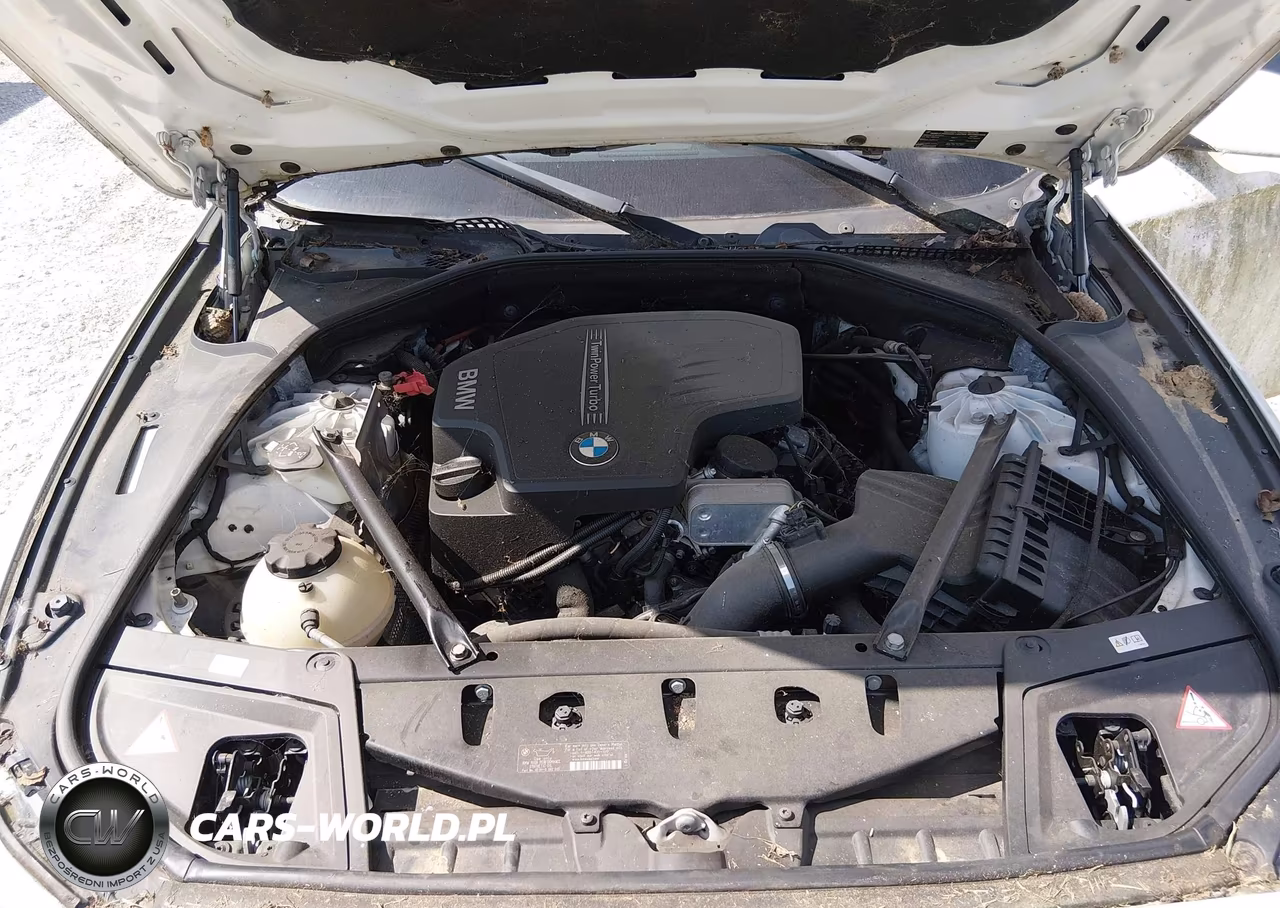 2013 BMW 528I VIN:WBAXG5C52DDY34121 - 10