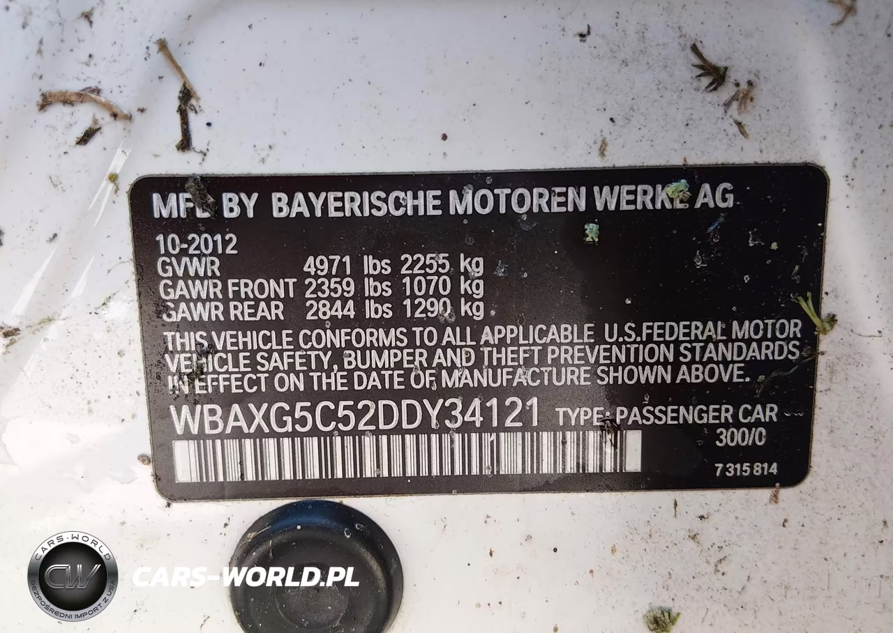 2013 BMW 528I VIN:WBAXG5C52DDY34121 - 9