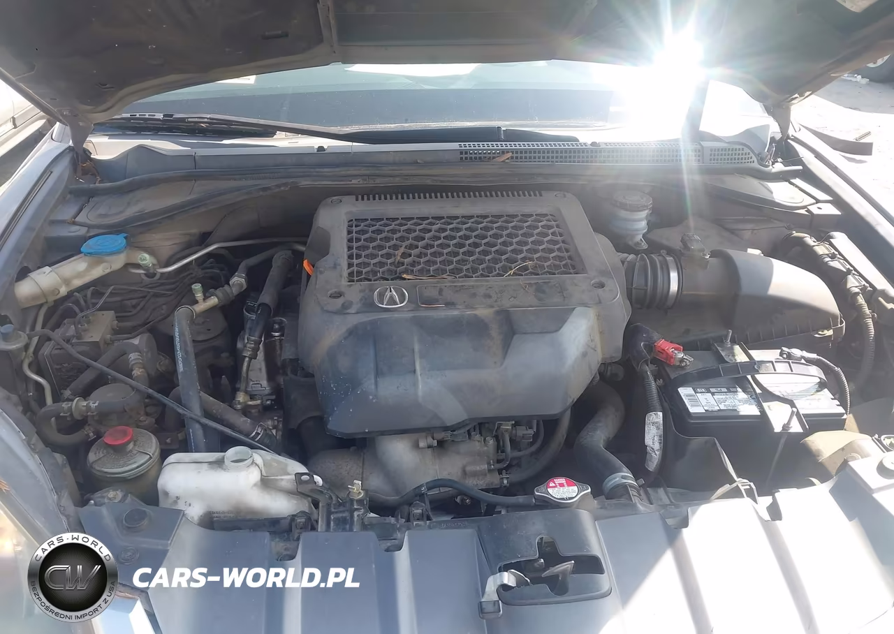 2008 Acura Rdx VIN:5J8TB18598A007369 - 10