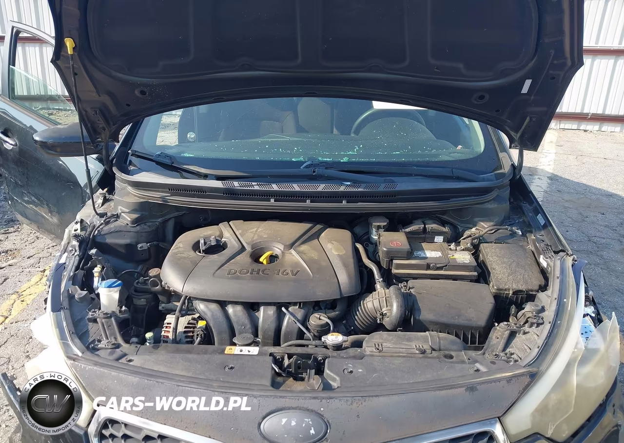 2014 Kia Forte Lx VIN:KNAFK4A61E5120850 - 10
