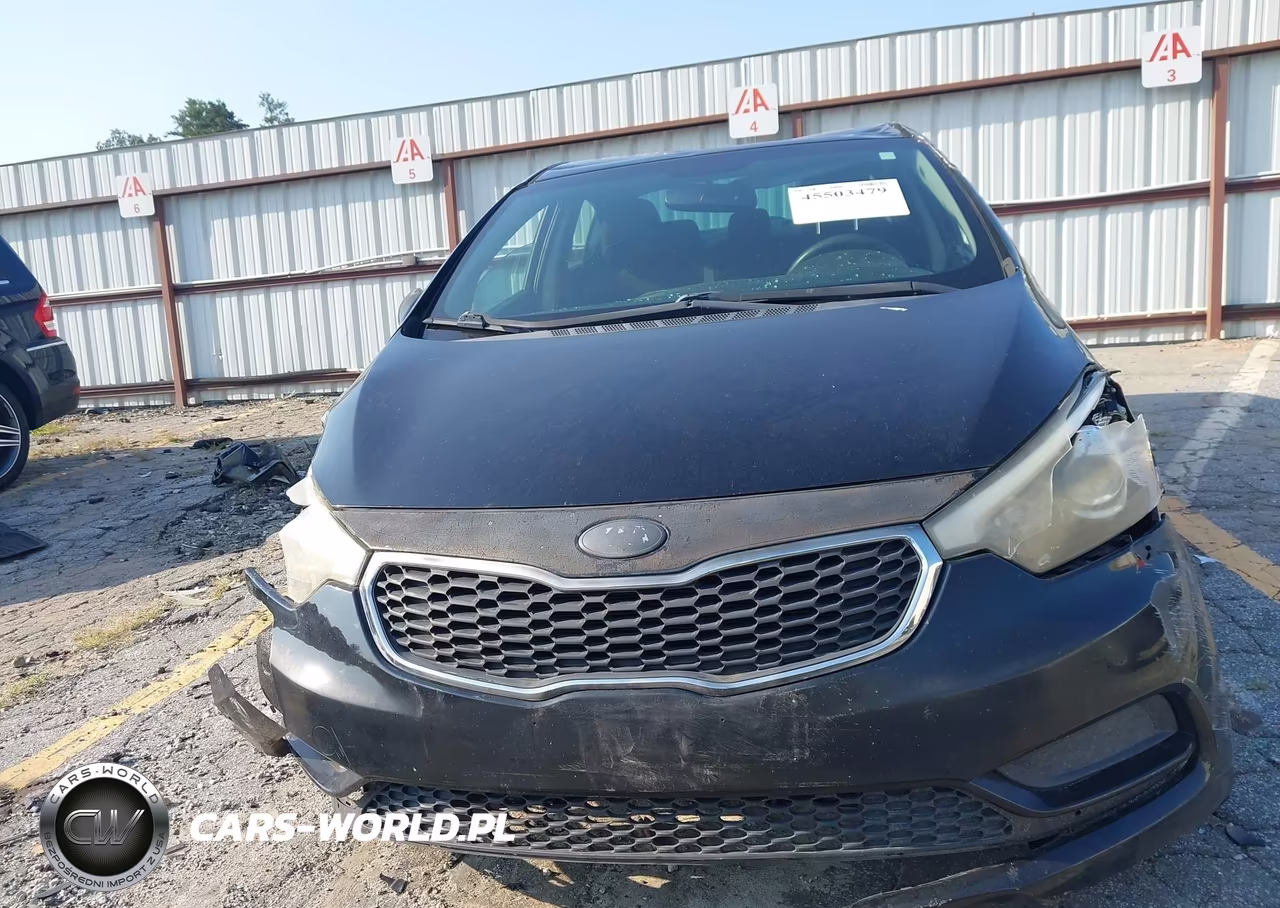 2014 Kia Forte Lx VIN:KNAFK4A61E5120850 - 12