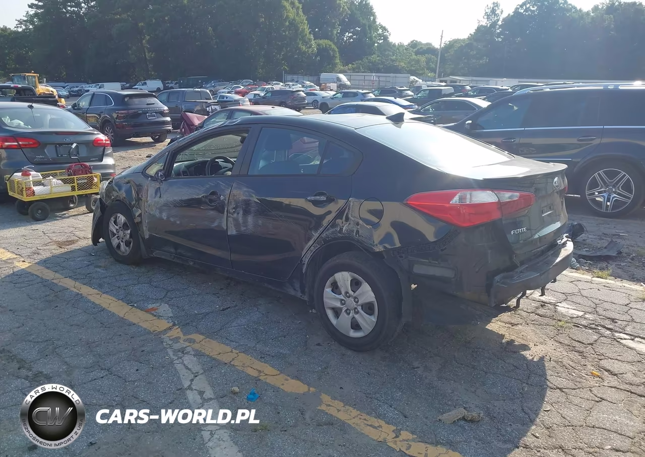 2014 Kia Forte Lx VIN:KNAFK4A61E5120850 - 3