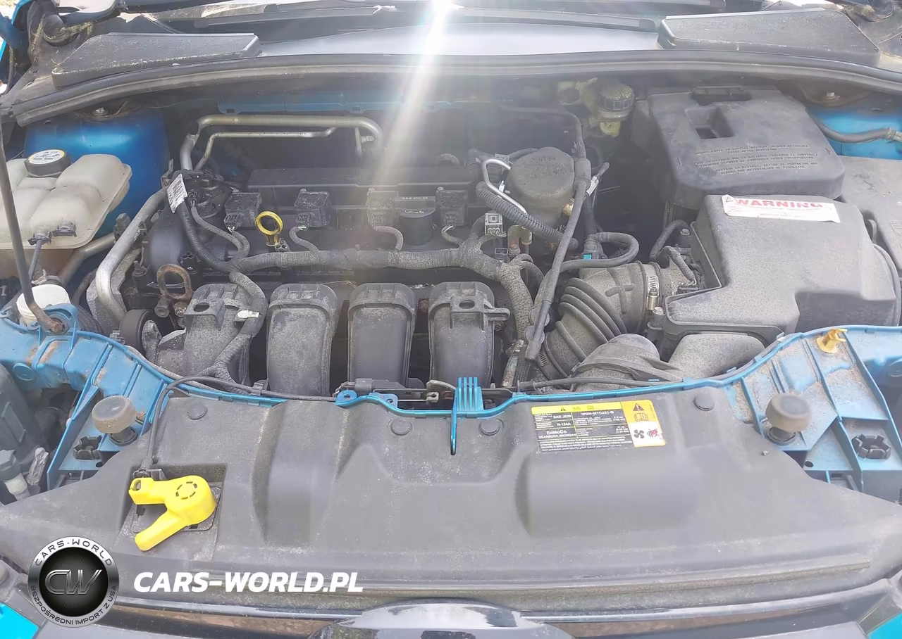 2012 Ford Focus Sel VIN:1FAHP3H28CL163218 - 10