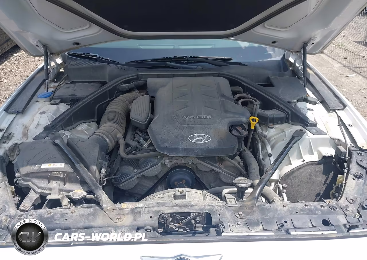 2015 Hyundai Genesis 3.8 VIN:KMHGN4JE0FU080558 - 10