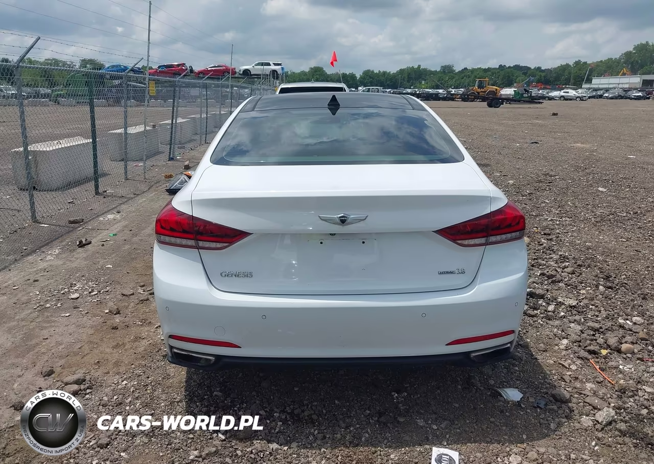 2015 Hyundai Genesis 3.8 VIN:KMHGN4JE0FU080558 - 16