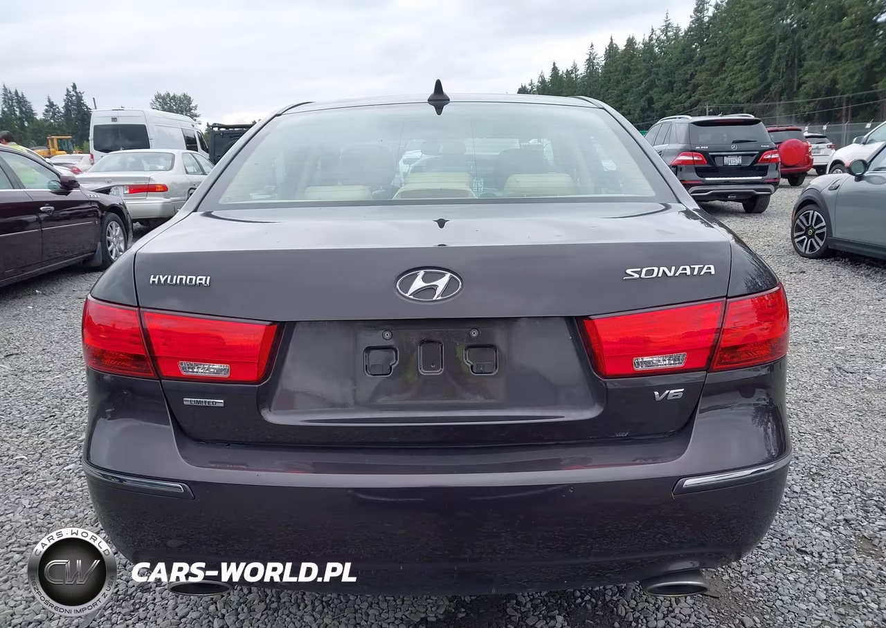 2010 Hyundai Sonata Limited V6 VIN:5NPEU4AF5AH593704 - 16