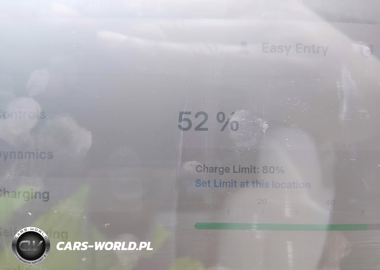 2022 Tesla Model Y Performance Dual Motor All-Wheel Drive VIN:7SAYGDEF8NF517481 - 17