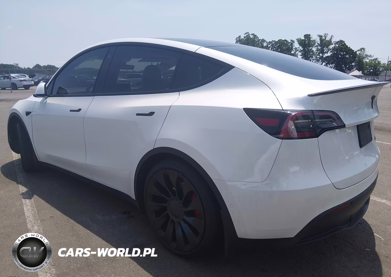 2022 Tesla Model Y Performance Dual Motor All-Wheel Drive VIN:7SAYGDEF8NF517481 - 3