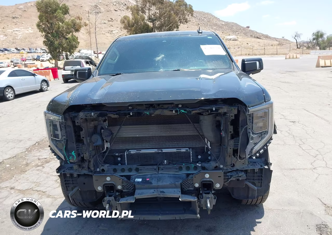 2023 GMC Sierra 1500 2Wd Short Box Elevation VIN:3GTPHCE89PG301962 - 12