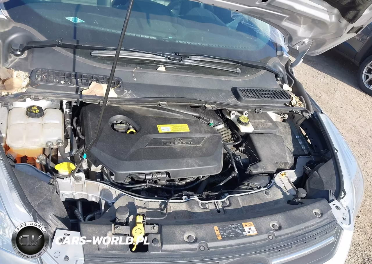 2014 Ford Escape Se VIN:1FMCU9GX7EUC06825 - 10