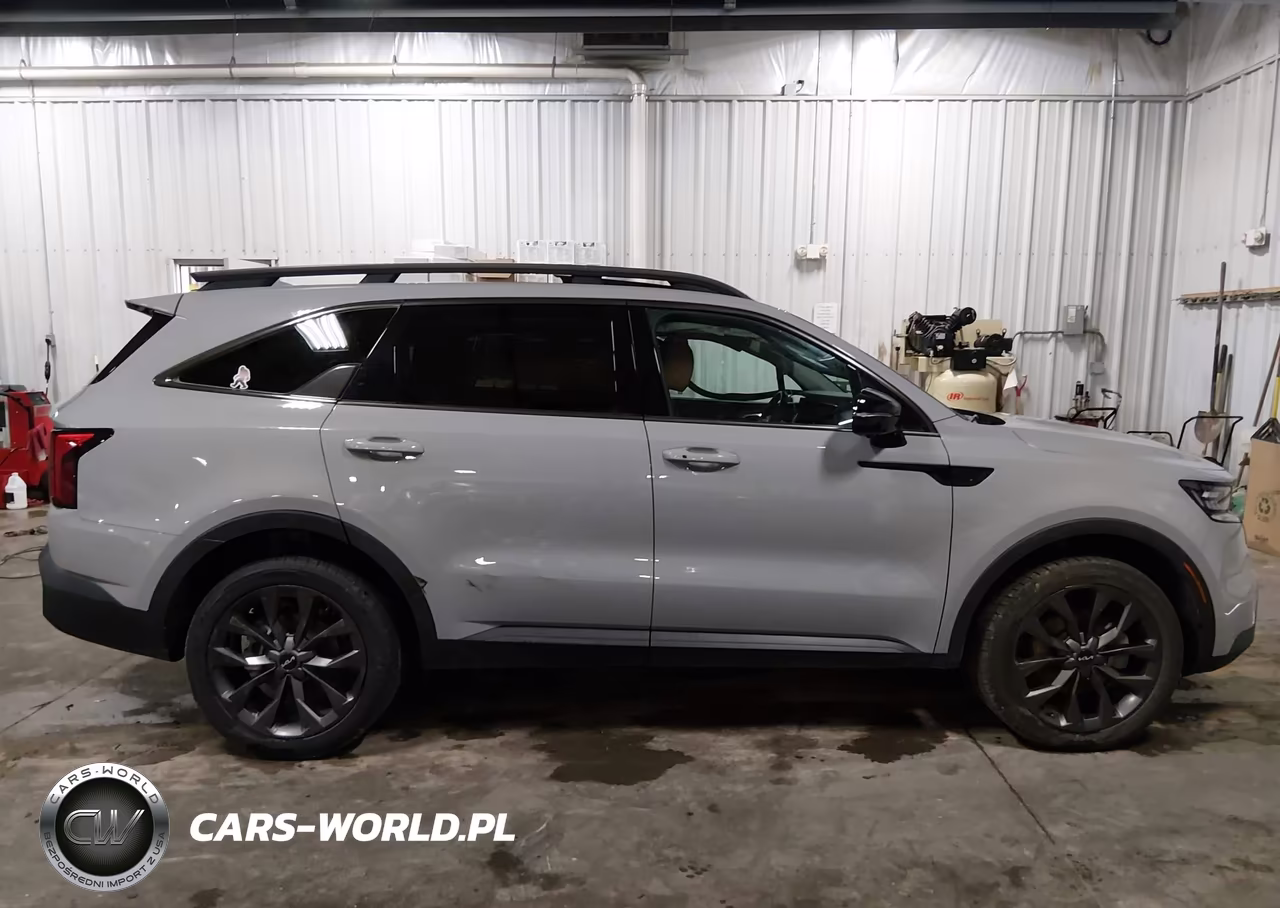 2023 Kia Sorento X-Line Sx Prestige VIN:5XYRKDLF0PG191027 - 13