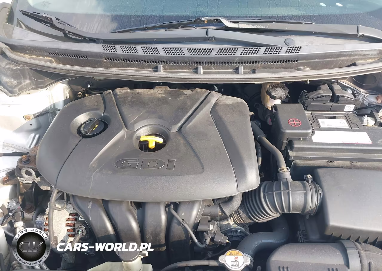 2017 Kia Forte Lx VIN:KNAFK5A86H5669231 - 10