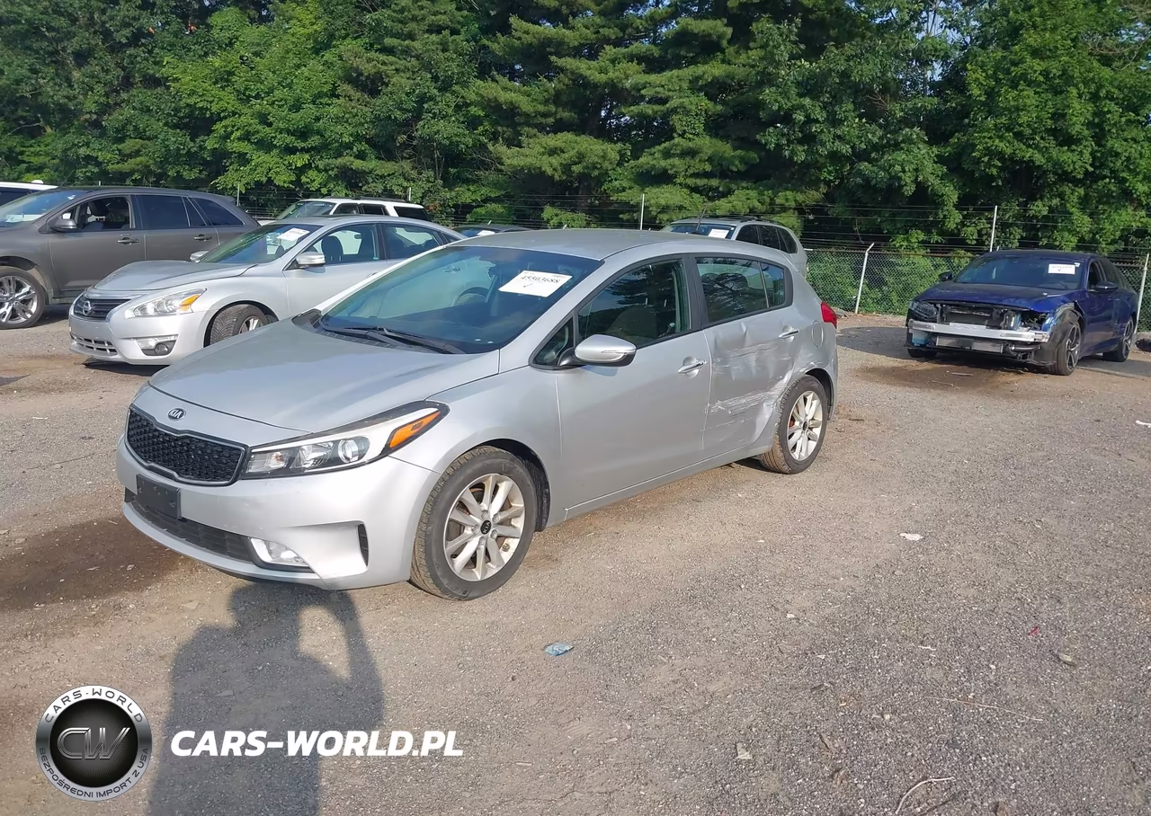 2017 Kia Forte Lx VIN:KNAFK5A86H5669231 - 2