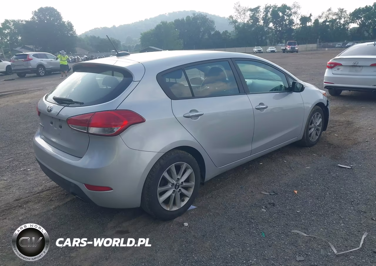 2017 Kia Forte Lx VIN:KNAFK5A86H5669231 - 4