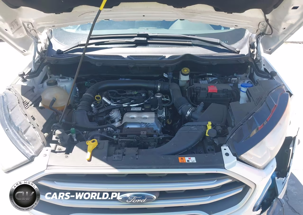 2019 Ford Ecosport Se VIN:MAJ3S2GE7KC279913 - 10