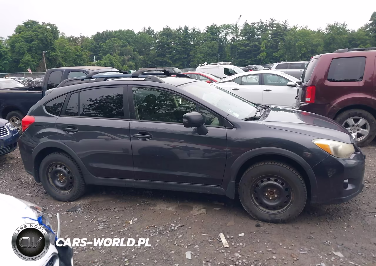 2014 Subaru Xv Crosstrek 2.0I Premium VIN:JF2GPAWC2E8204469 - 13