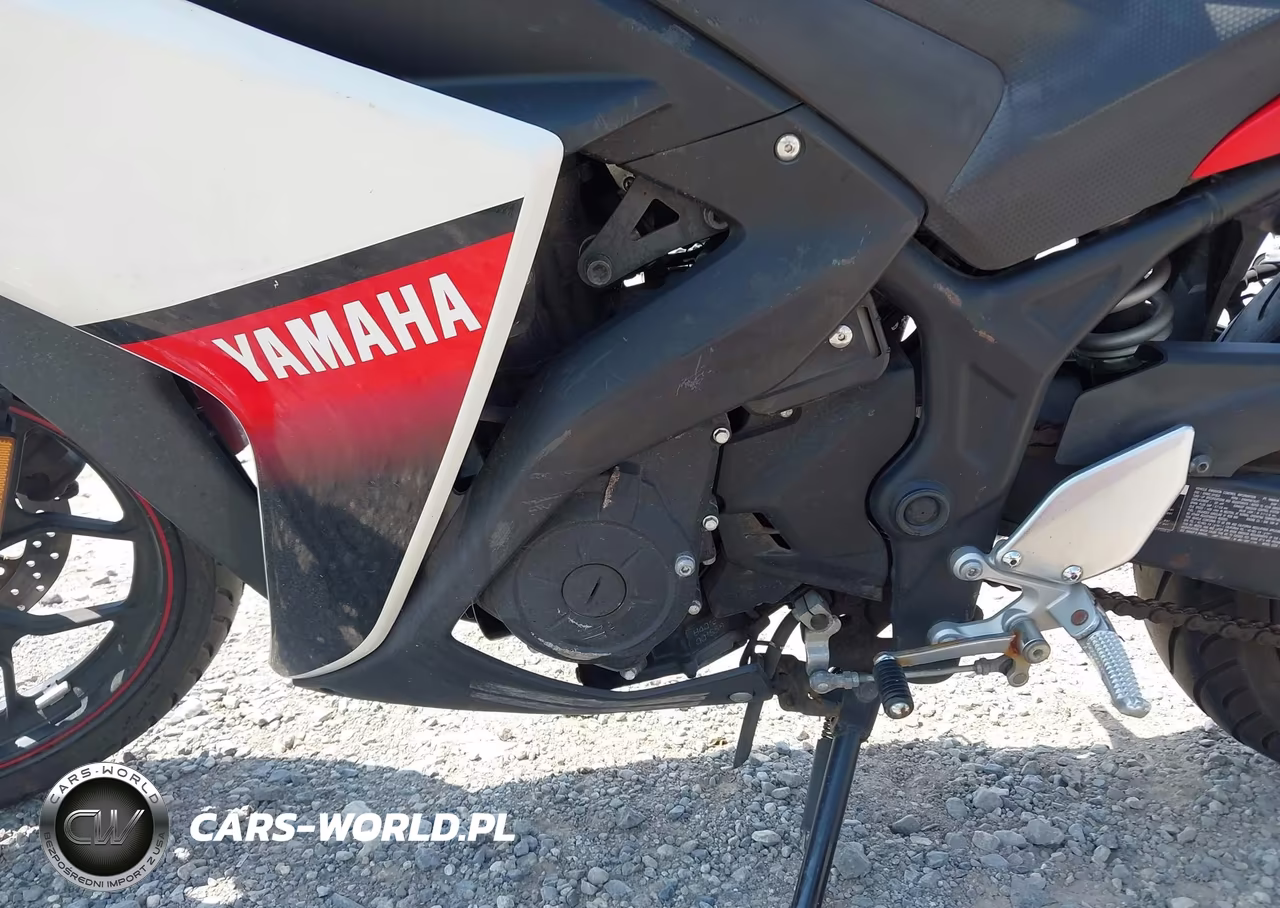 2016 Yamaha Yzfr3 VIN:MH3RH06Y3GK012785 - 9