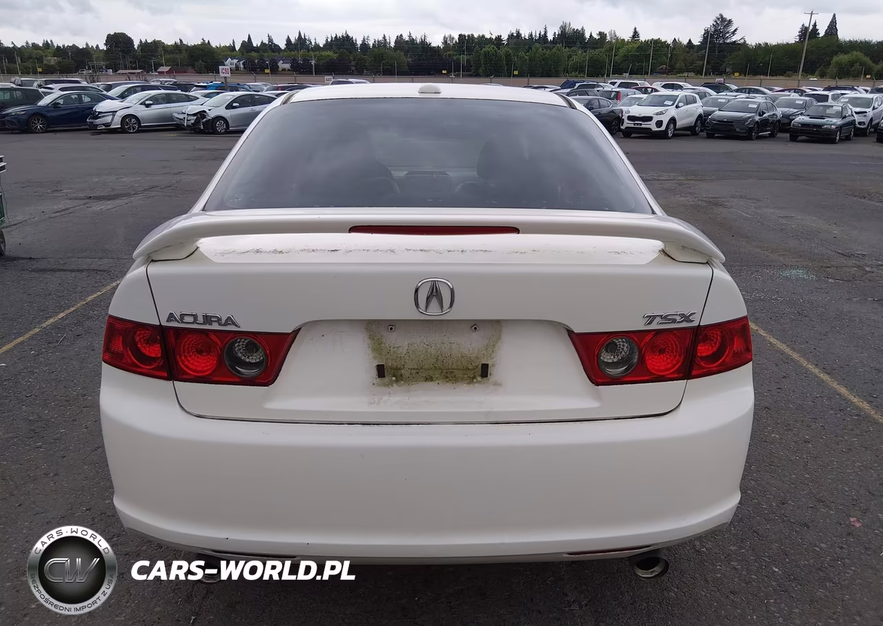2008 Acura Tsx VIN:JH4CL96928C005319 - 16