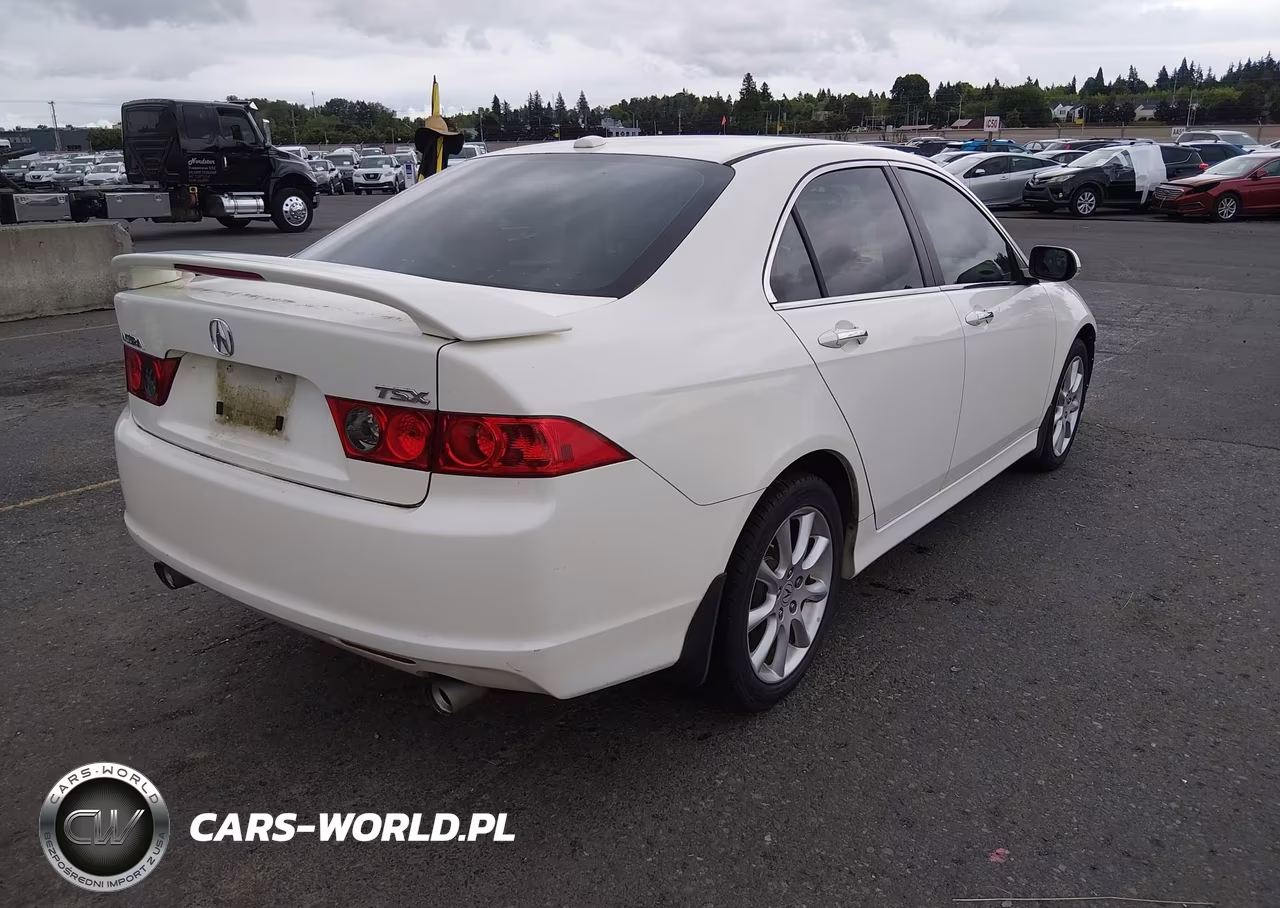 2008 Acura Tsx VIN:JH4CL96928C005319 - 4
