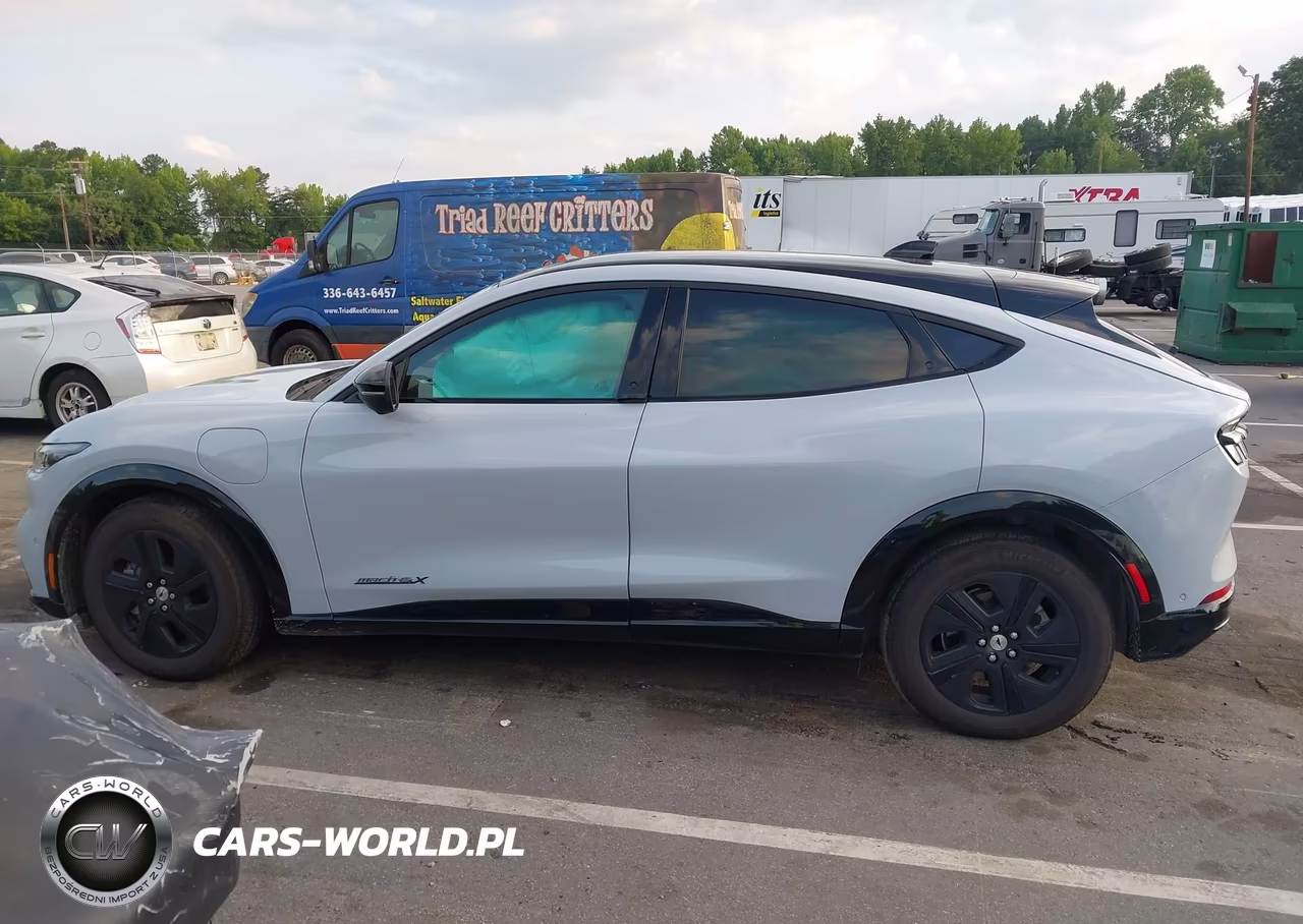 2023 Ford Mustang Mach-E California Route 1 VIN:3FMTK2SU6PMA99011 - 15