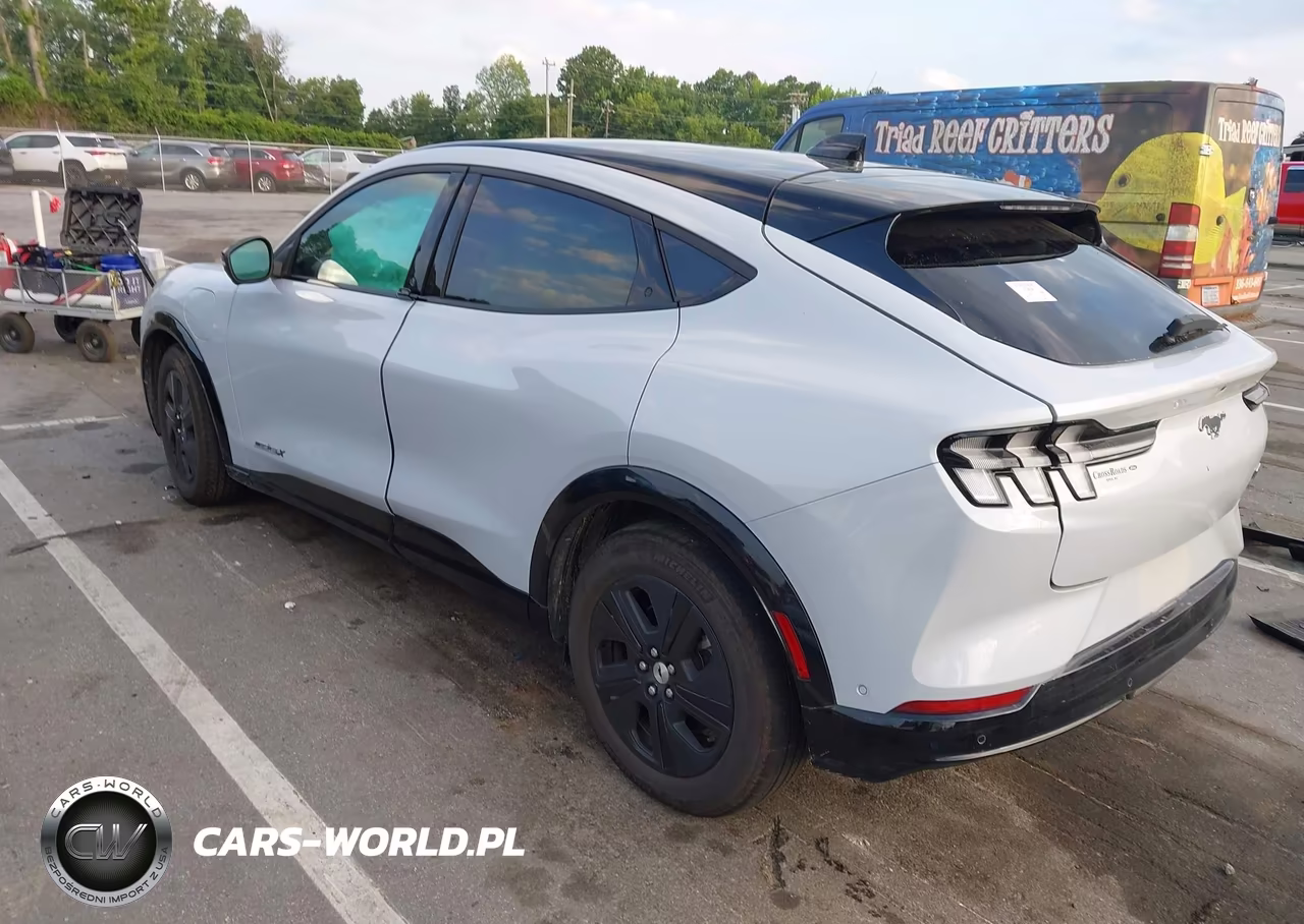 2023 Ford Mustang Mach-E California Route 1 VIN:3FMTK2SU6PMA99011 - 3