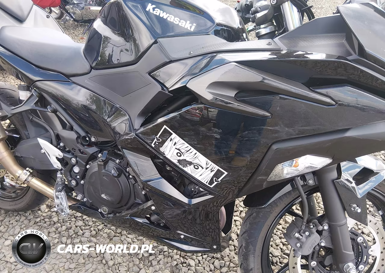 2024 Kawasaki Ex500 H VIN:ML5EXGH10RDA09047 - 13
