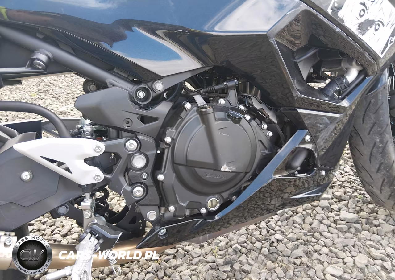 2024 Kawasaki Ex500 H VIN:ML5EXGH10RDA09047 - 17