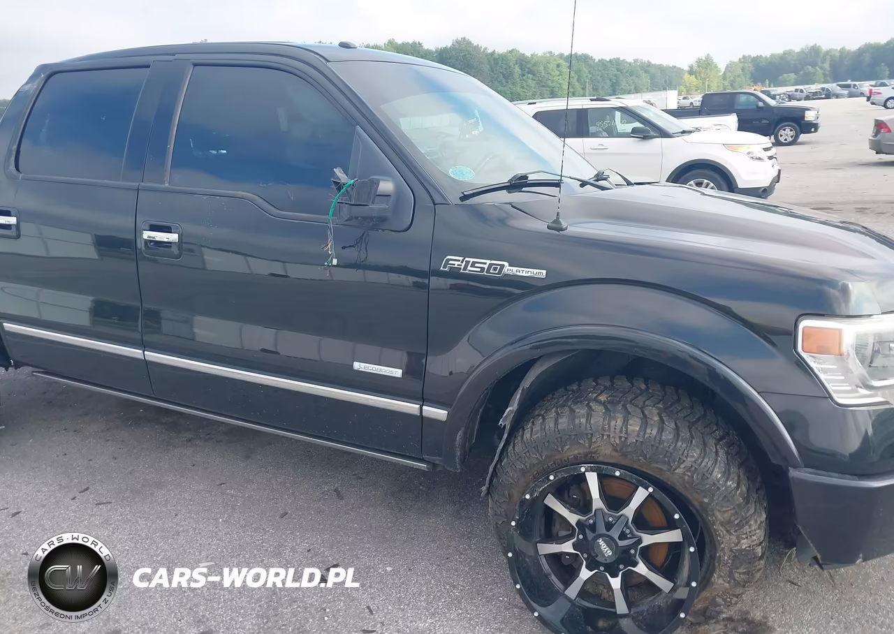 2013 Ford F-150 Platinum VIN:1FTFW1ET2DFB28454 - 18
