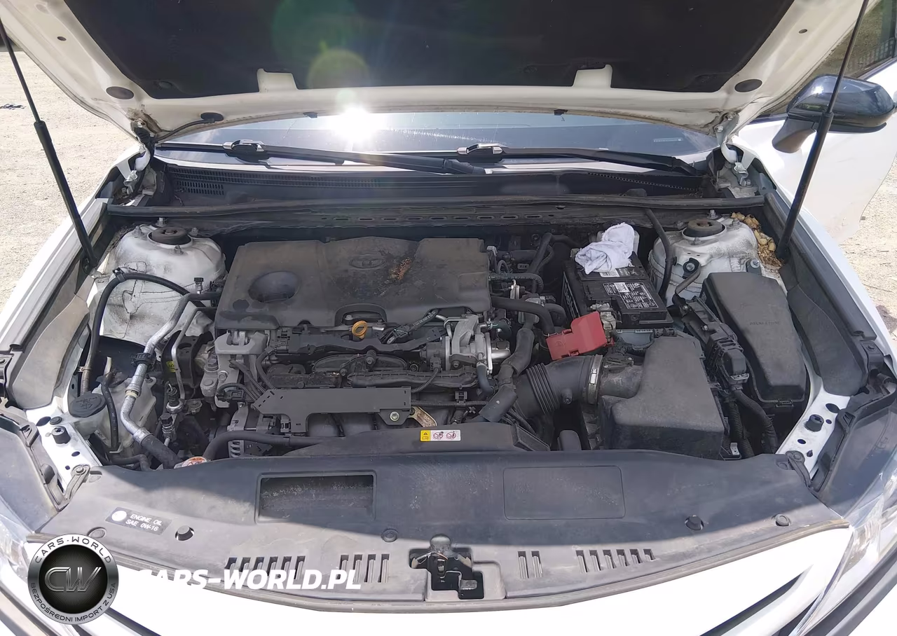 2019 Toyota Camry Se VIN:4T1B11HK2KU268685 - 10