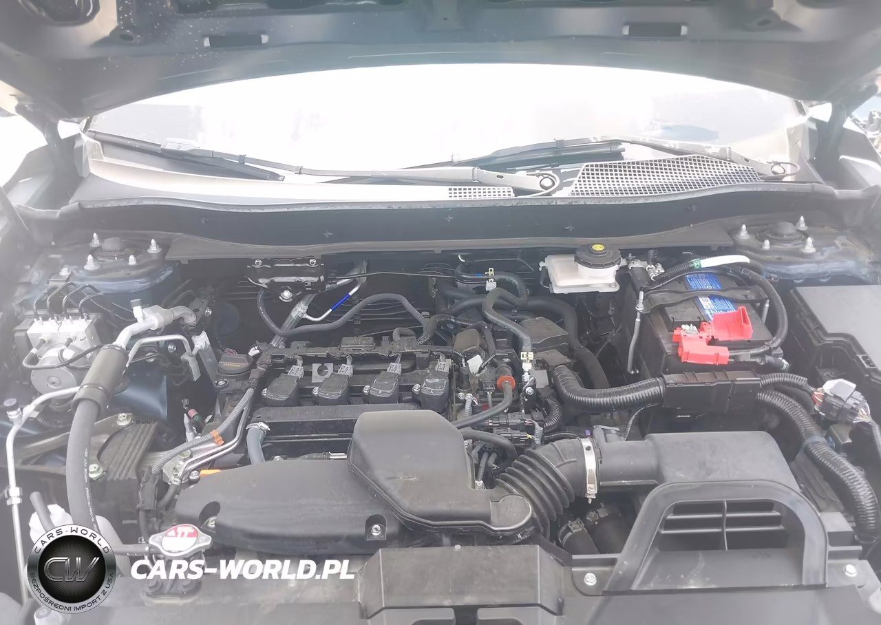 2024 Honda Cr-V Ex Awd VIN:5J6RS4H43RL004016 - 10