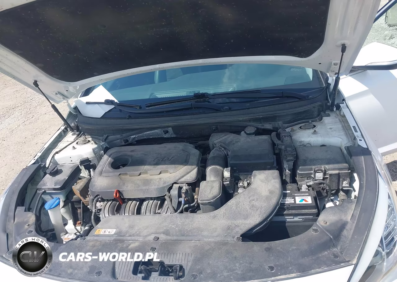 2017 Hyundai Sonata Sport VIN:5NPE34AF9HH471019 - 10