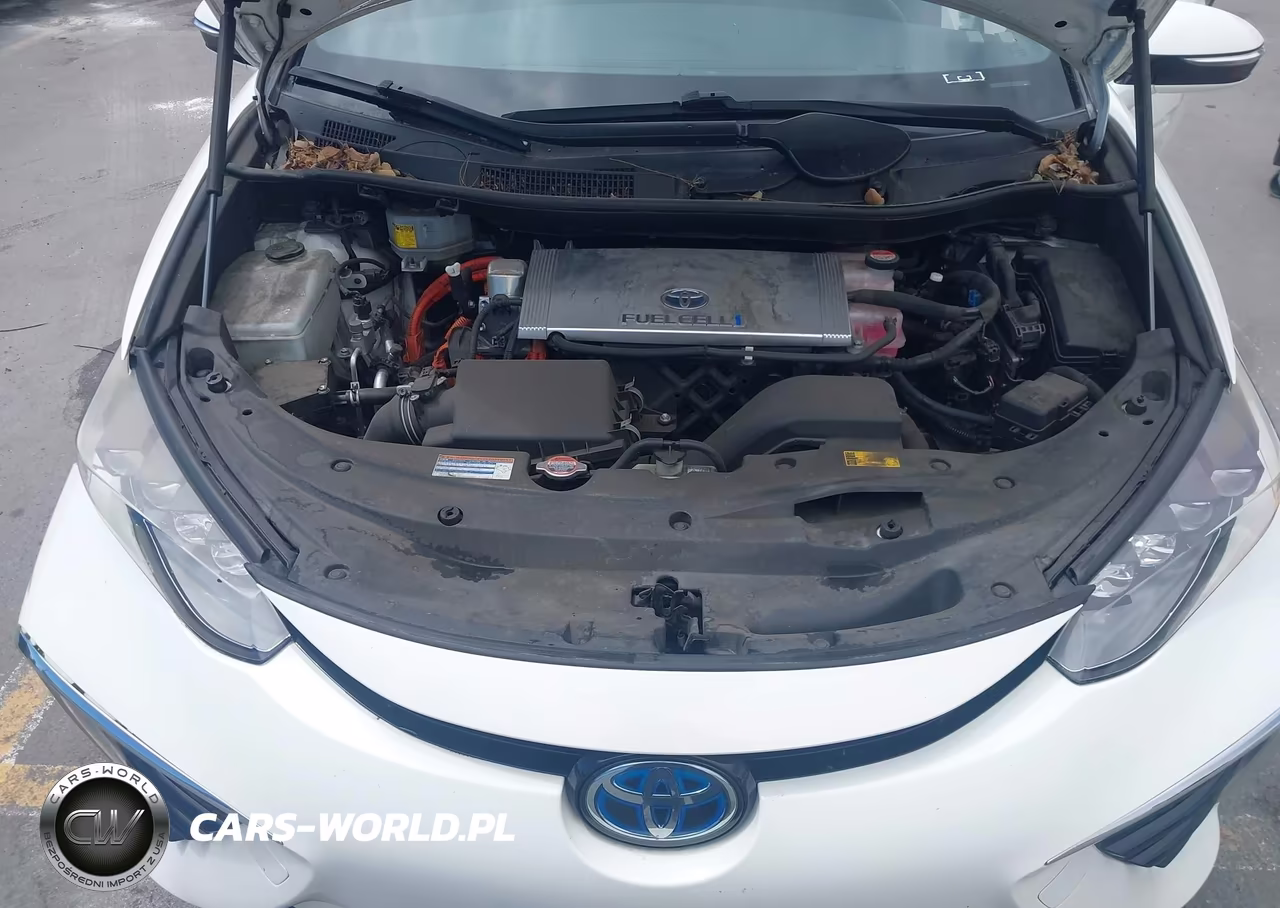 2017 Toyota Mirai VIN:JTDBVRBD8HA003409 - 10