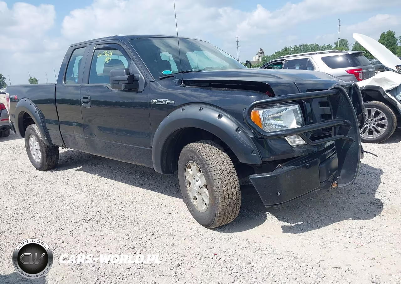 2010 Ford F-150 Stx-Xl – zdjęcie 1 z 17
