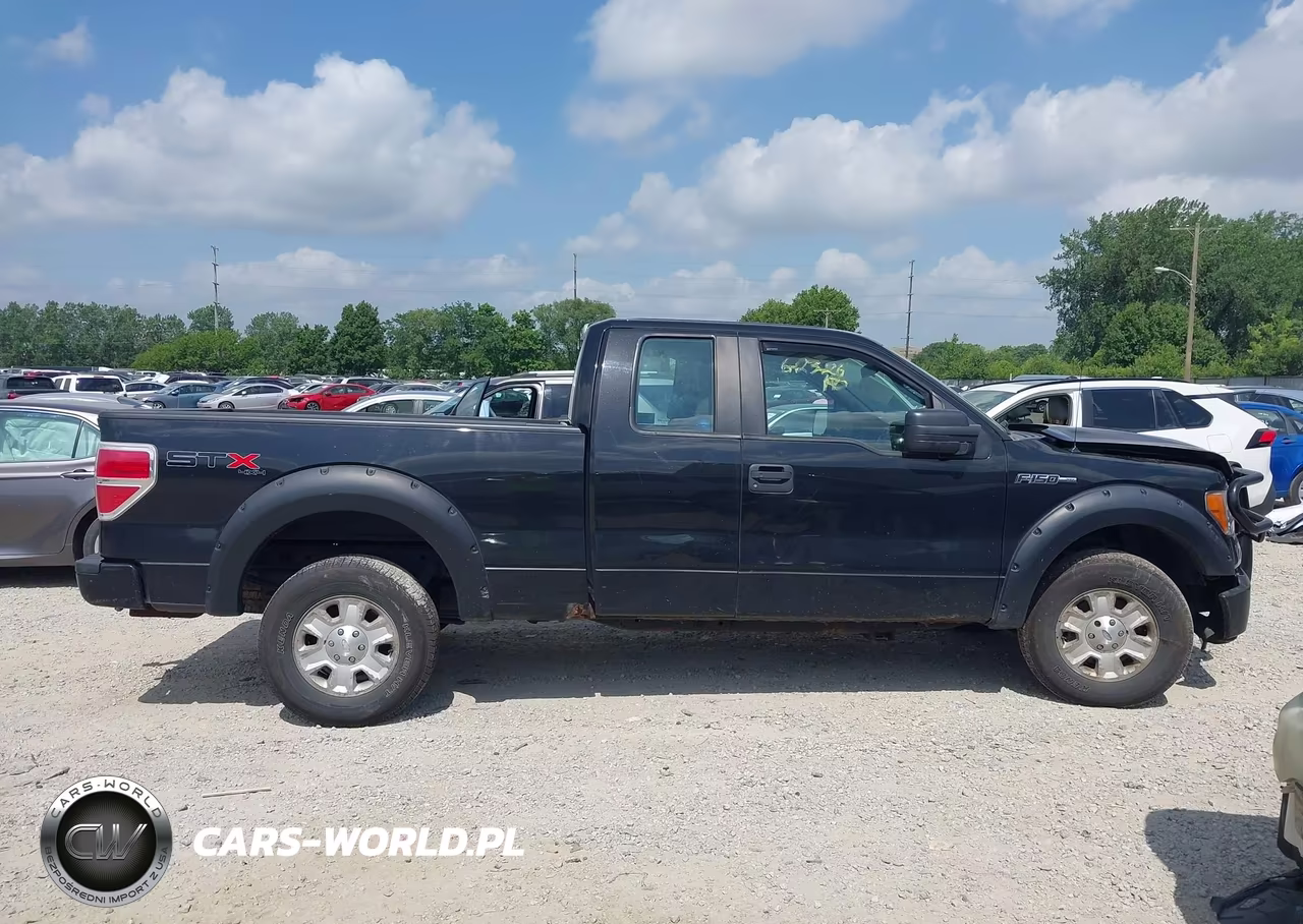 2010 Ford F-150 Stx-Xl VIN:1FTEX1EW0AFD76104 - 14
