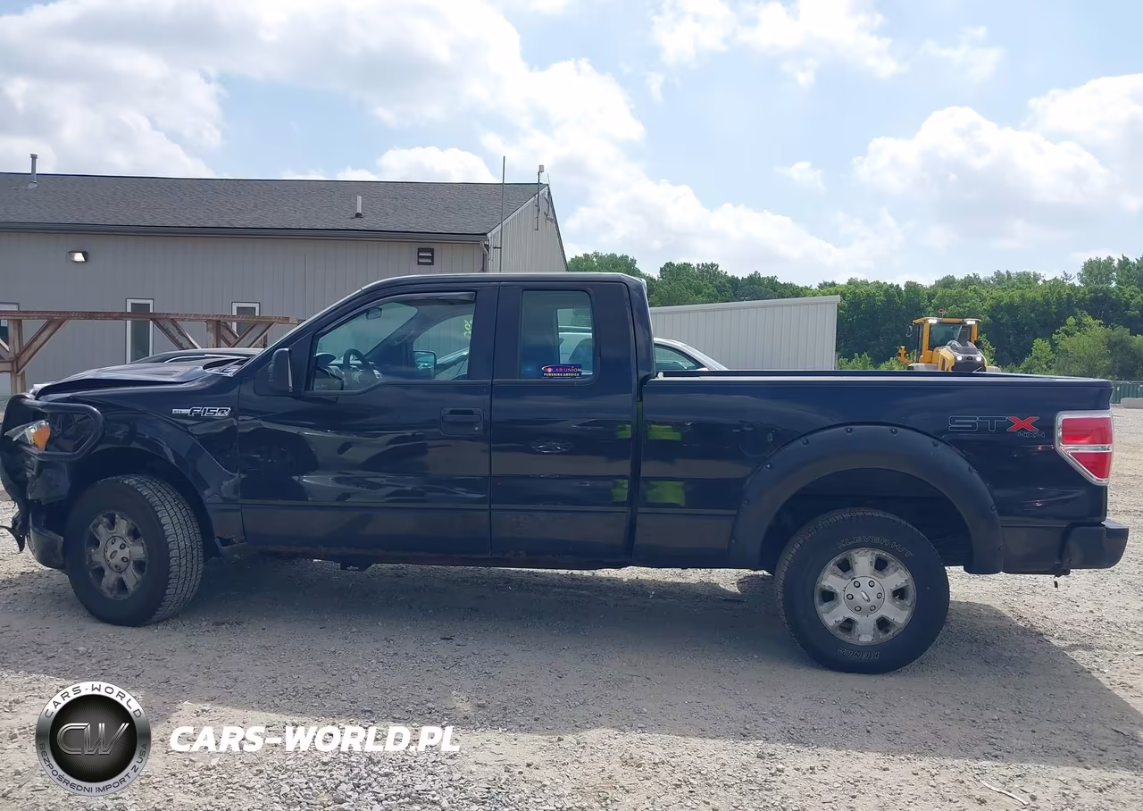 2010 Ford F-150 Stx-Xl VIN:1FTEX1EW0AFD76104 - 15