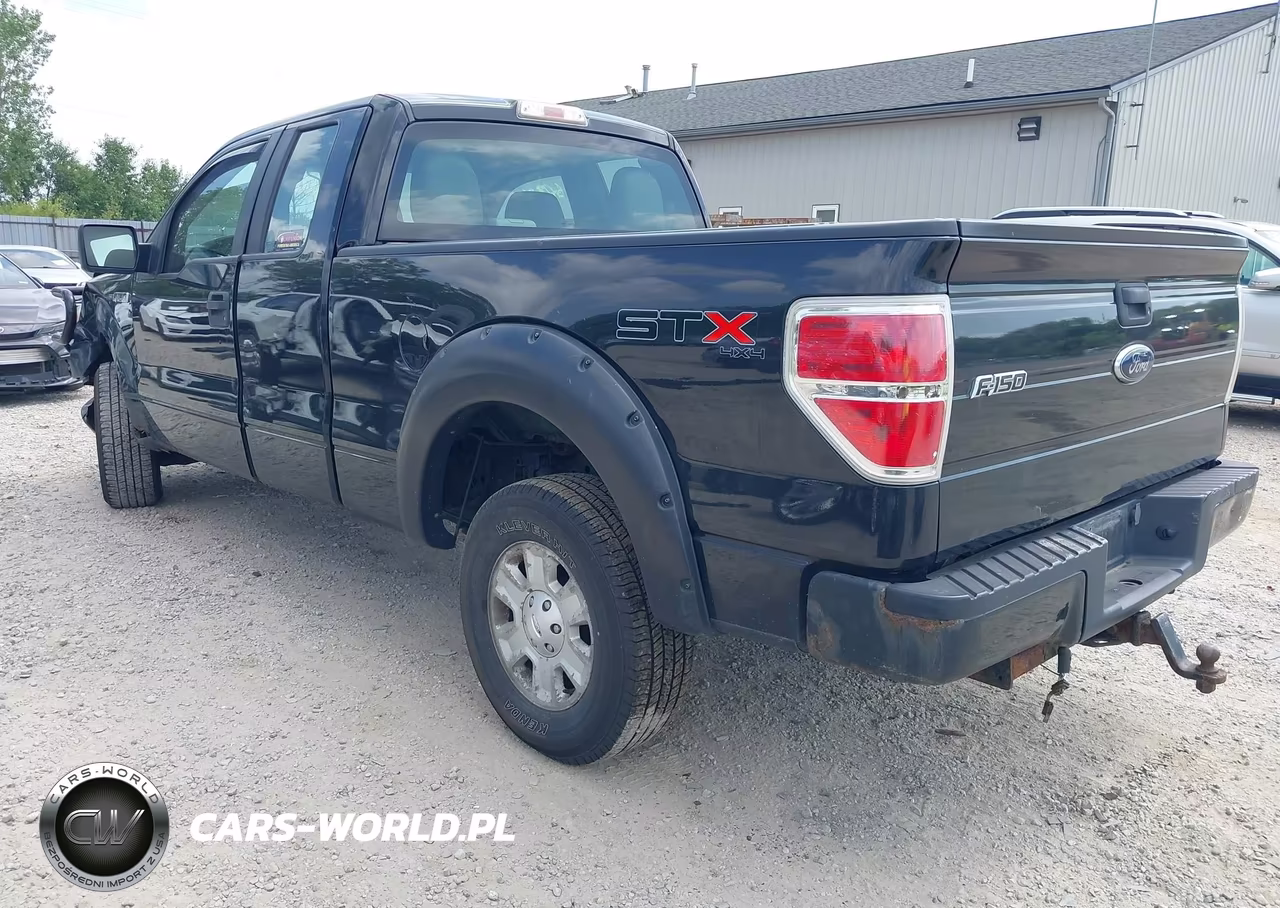 2010 Ford F-150 Stx-Xl VIN:1FTEX1EW0AFD76104 - 3