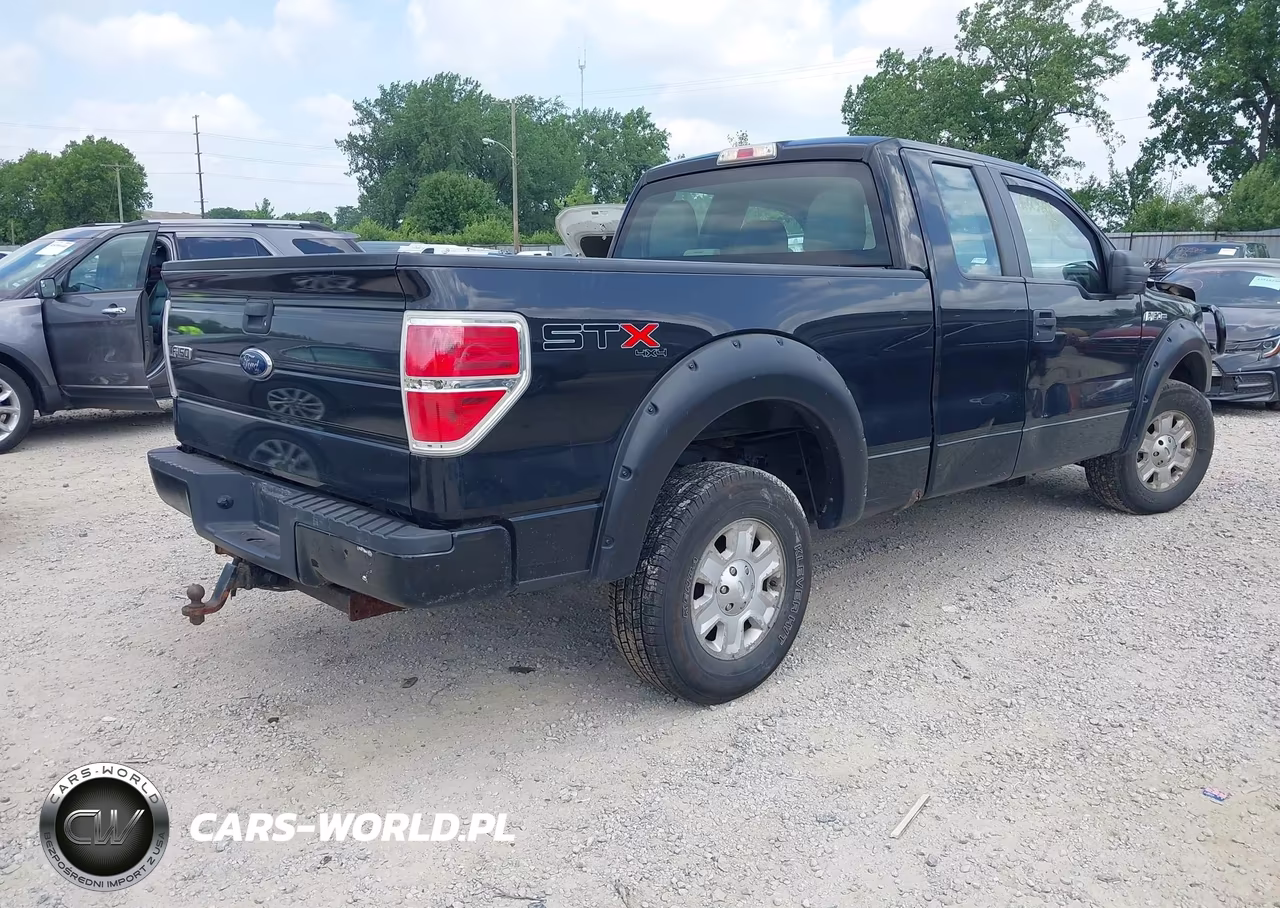 2010 Ford F-150 Stx-Xl VIN:1FTEX1EW0AFD76104 - 4