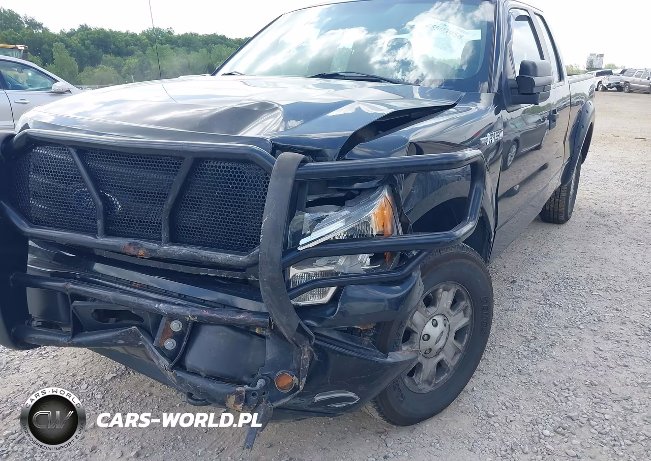 2010 Ford F-150 Stx-Xl VIN:1FTEX1EW0AFD76104 - 6