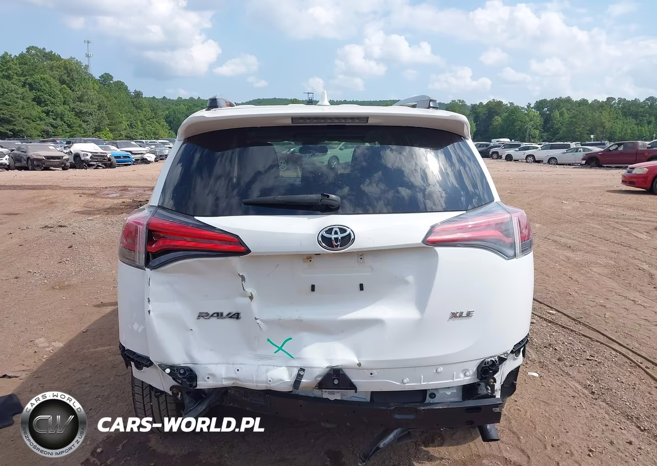 2017 Toyota Rav4 Xle VIN:JTMWFREV4HJ700062 - 17