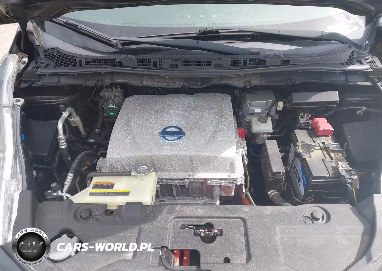2015 Nissan Leaf S VIN:1N4AZ0CPXFC300810 - 10