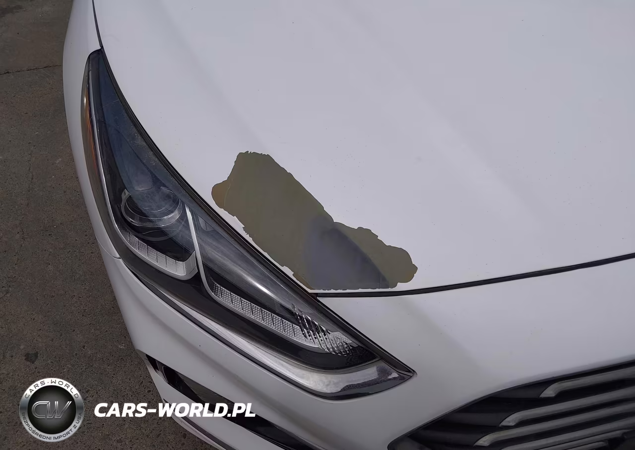 2018 Hyundai Sonata Eco VIN:5NPE24AA8JH700688 - 13