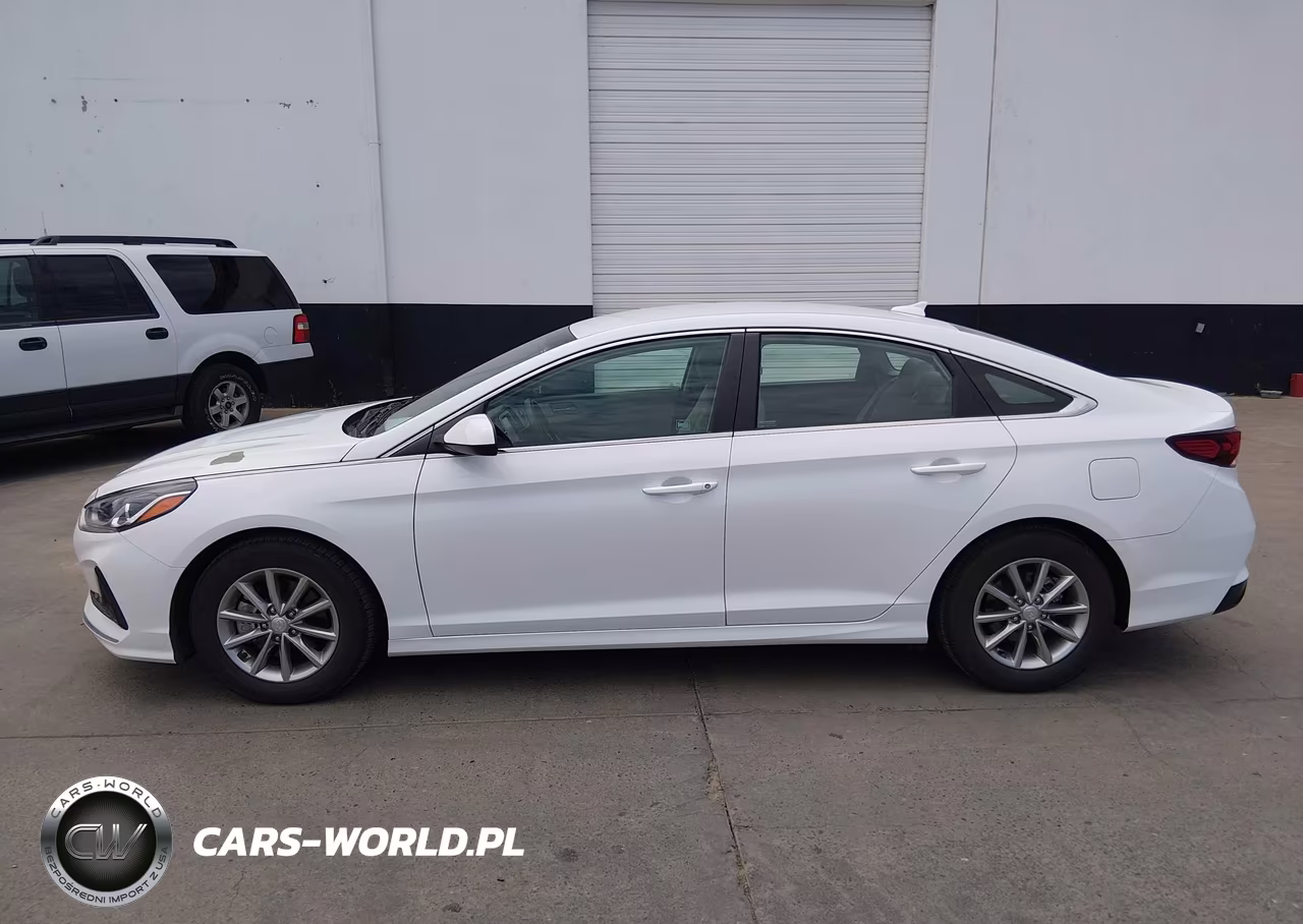 2018 Hyundai Sonata Eco VIN:5NPE24AA8JH700688 - 16