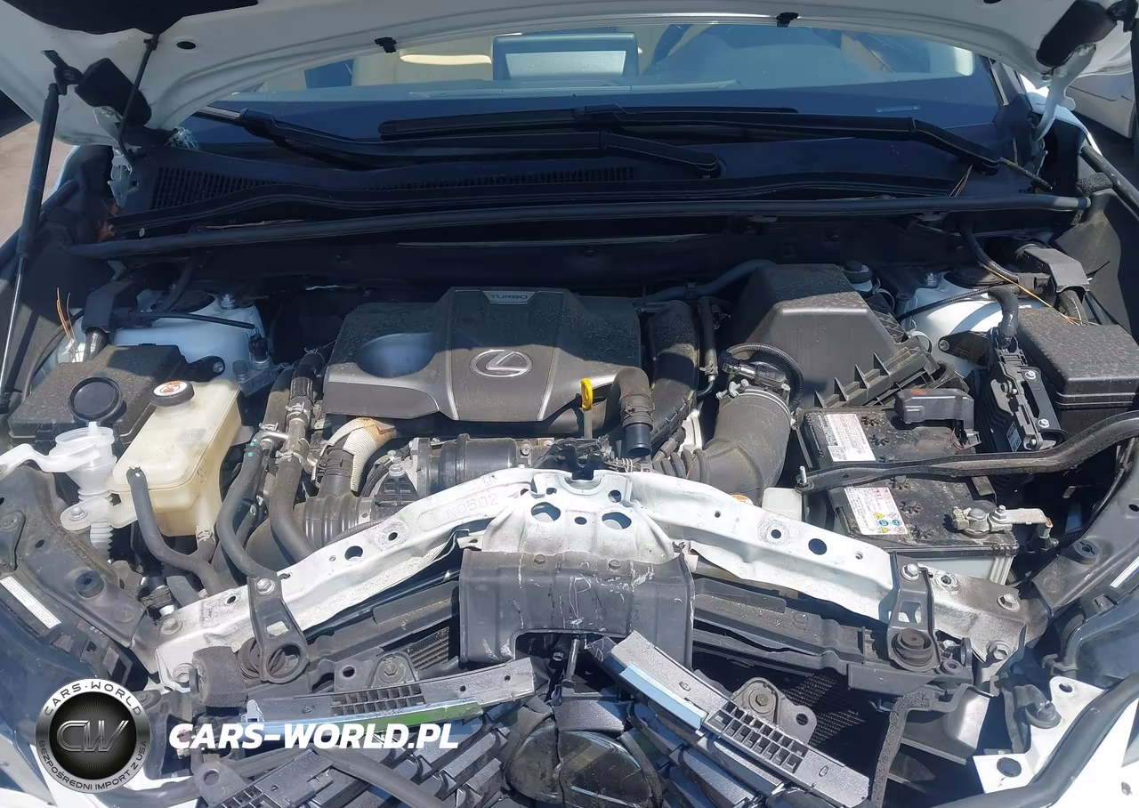2020 Lexus Nx 300 VIN:JTJDARDZ1L5015834 - 10