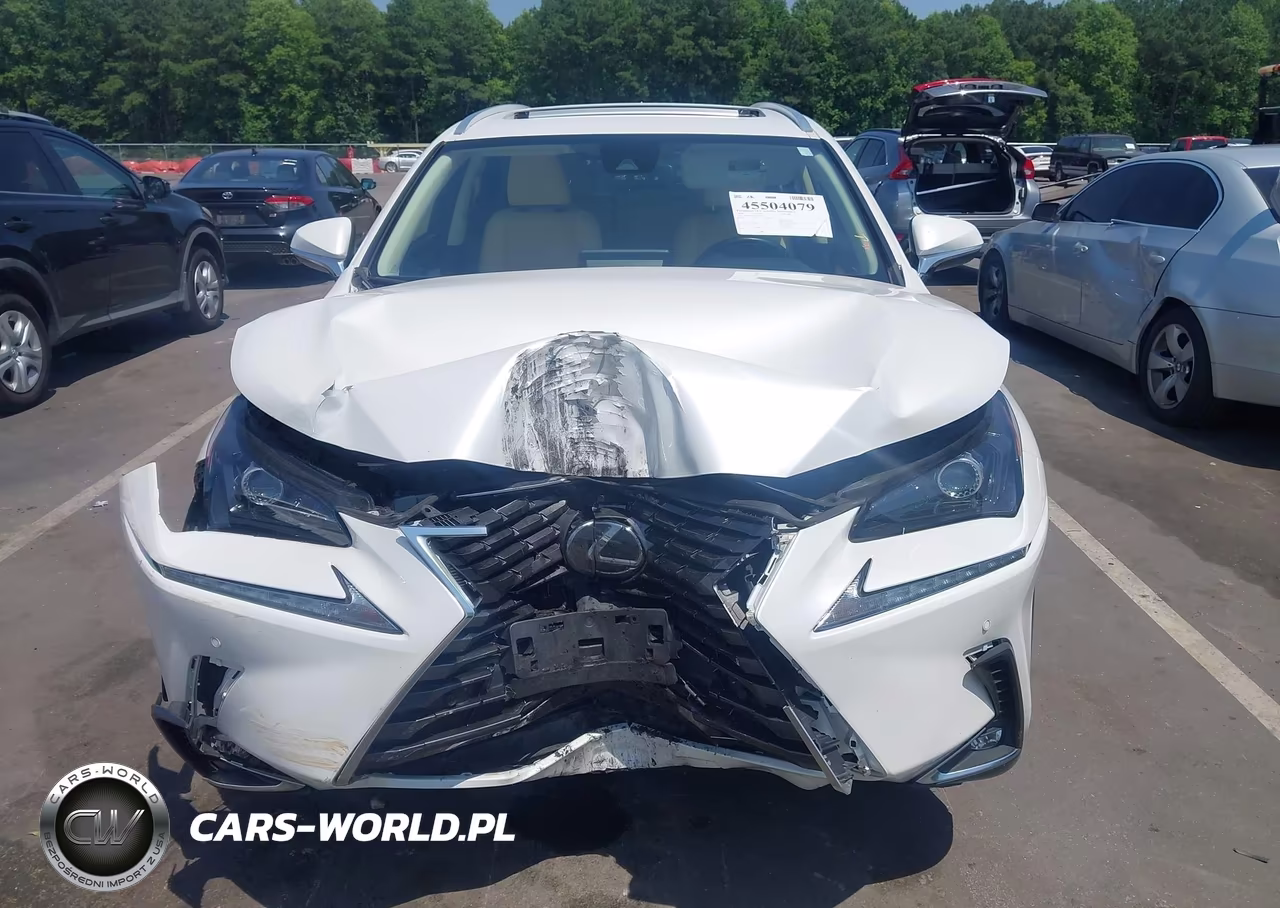 2020 Lexus Nx 300 VIN:JTJDARDZ1L5015834 - 13