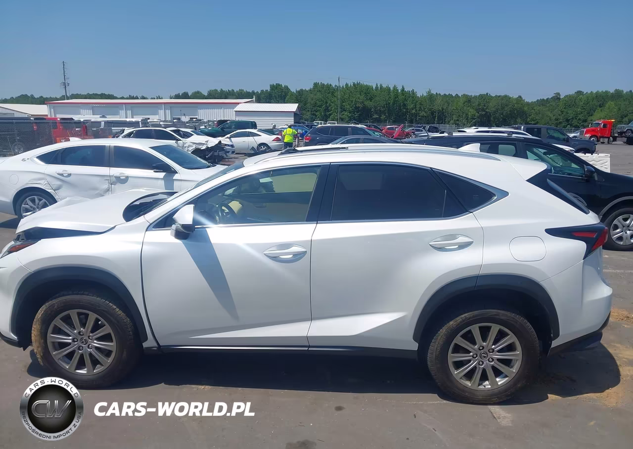 2020 Lexus Nx 300 VIN:JTJDARDZ1L5015834 - 15