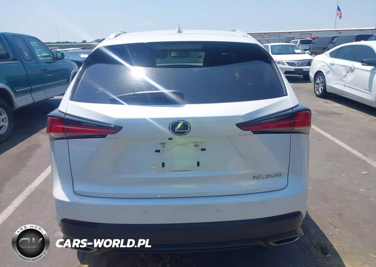 2020 Lexus Nx 300 VIN:JTJDARDZ1L5015834 - 17