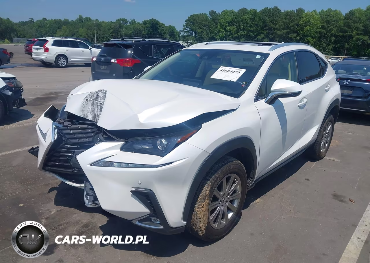 2020 Lexus Nx 300 VIN:JTJDARDZ1L5015834 - 2