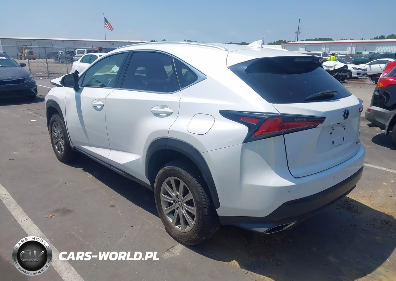 2020 Lexus Nx 300 VIN:JTJDARDZ1L5015834 - 3